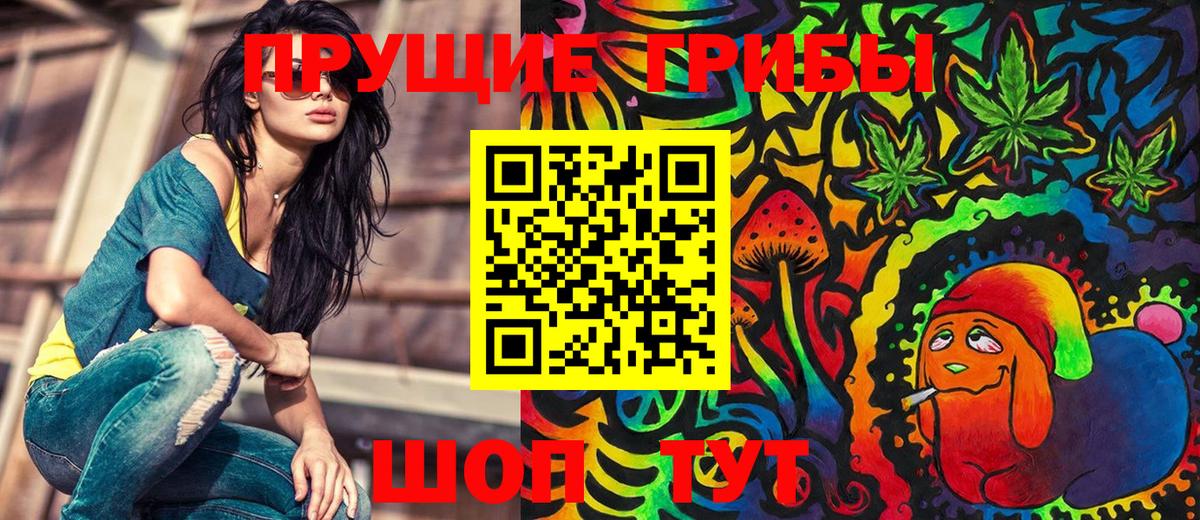 Елабуга  Галлюциногенные грибы ЛСД  Вход с VPN 
